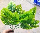 Cây Giả - Cây Trầu Bà Nhựa Lá Rách 5 Nhánh 35Cm