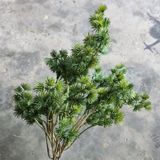 Cây Giả - Cây La Hán Xanh 5 Nhánh 45 Cm