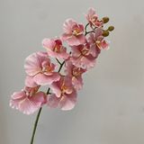 Hoa Giả Cành Lan Hồ Điệp Xoăn Cỡ Lớn