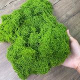 Rêu Sợi Nhân Tạo Giả 1 Kg