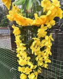 Chùm Hoa-Chùm Hoa Anh Thảo Nhiều Màu 7 Nhánh 100 Cm