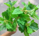 Cây Giả-Cây Nho Giả 5 Nhánh 45Cm
