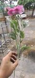 Hoa Giả-Hoa Trà Thân Mốc Cao Cấp 60cm
