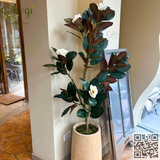 Gói Thi Công Cafe KATINAT 26 Điện Biên Phủ