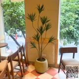 Gói Thi Công Cafe KATINAT 26 Điện Biên Phủ