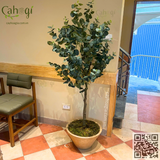 Gói Thi Công Cafe KATINAT 26 Điện Biên Phủ