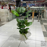 Hoàn Thiện Chậu Cây Cảnh Trang Trí Siêu Thị AEON Hưng Yên – Giải Pháp Xanh Hiện Đại