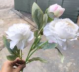 Hoa Giả-Hoa Mẫu Đơn 2 Bông 1 Nụ 70 Cm Trắng