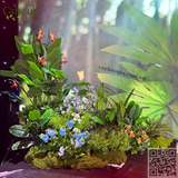 Thi Công Trang Trí Sự Kiện Mở Bán Vinhomes Đan Phượng