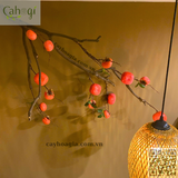 Thi Công Trang Trí Spa Dưỡng Sinh Khương Y Đạo