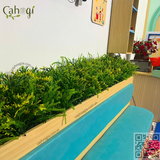 Thi Công Hộc Cây Giả Cho Trường Mầm Non Họa Mi – 545 Bát Khối, Long Biên, Hà Nội