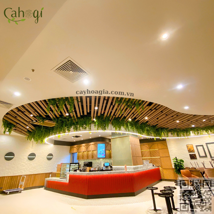 Thi Công Trần Cây Leo Giả Trang Trí Quán Cafe