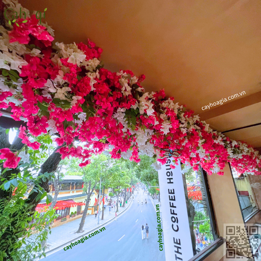 Thi Công Hộc Cây Hoa Giấy Trang Trí quán cafe Coffee House