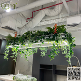 Trang Trí Đèn Treo Văn Phòng Với Cây Giả 69B Thụy Khuê - Tây Hồ