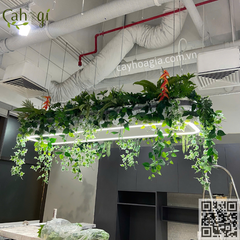 Trang Trí Phòng Chụp Ảnh VIN WONDER Đảo Vũ Yên Hải Phòng