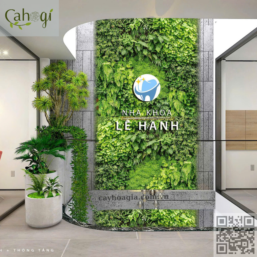 Thi công tường cây giả phòng khám nha khoa Hưng Yên