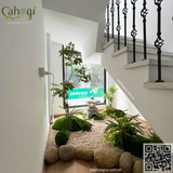 Gói Thi Công Tiểu Cảnh Phong Cách Tối Giản Dưới Góc Hẹp Cầu Thang Và Trần Hoa Đào