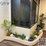 Gói Thi Công Tiểu Cảnh Bồn Cây Trang Trí Nhà Tại Phúc Tân Hoàn Kiếm