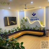 Thi Công Bồn Cây Giả Phòng Khám Đa Khoa