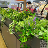 Thi Công Hộc Cây Giả Trang Trí Quán Cafe