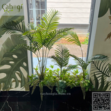 Thi Công Hoa Giấy Bồn Cây Trang Trí Khách Sạn