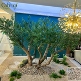 Thi Công Cây Oliu Giả Cao 3m Tán 5m – Biệt Thự Vinhomes Vũ Yên Hải Phòng