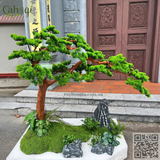 Thi Công Cây Tùng Giả Bonsai Giả Xuất Khẩu Na- Uy