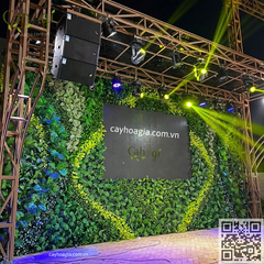 Thi Công Tường Cây Hỗn Hợp, Công Ty Intex Số 4 Ngõ 229 Phố Vọng