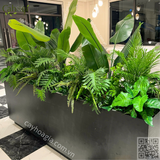 Thi Công Hộc Cây Giả Trang Trí Khách Sạn Lớn Nhất Thành Phố Yên Bái – Giải Pháp Xanh Sang Trọng