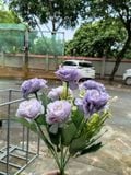 Hoa Giả-Hoa Mẫu Đơn Vải 7 Bông 30cm