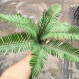 Cây Giả Dương Xỉ Cổ Đại 9 Lá 50 Cm