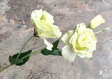 Hoa Giả - Hoa Cát Tường 2 Bông 1 Nụ 60 Cm Xanh Lá