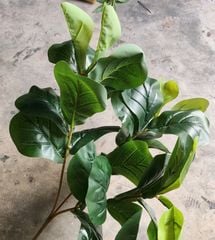 Cây Giả - Cây Trầu Bà Nhựa Lá Rách 5 Nhánh 35Cm