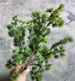 Cây Giả - Cây La Hán Xanh 5 Nhánh 45 Cm