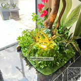Thi Công Hoa Giấy Bồn Cây Trang Trí Khách Sạn