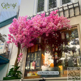 Thi Công Cây Hoa Đào Giả Cho Nhà Hàng Tôm Hùm