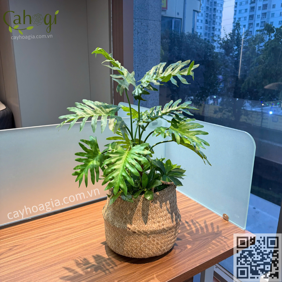 chậu cây giả trang trí