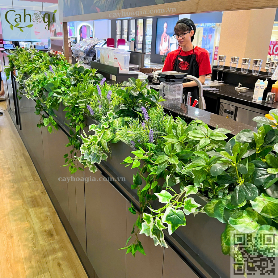 Hộc cây trang trí