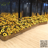 THI CÔNG BỒN CÂY HOA HƯỚNG DƯƠNG NHÀ GƯƠNG HÀ ĐÔNG