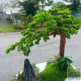 Thi Công Cây Tùng Giả Bonsai Giả Xuất Khẩu Na- Uy