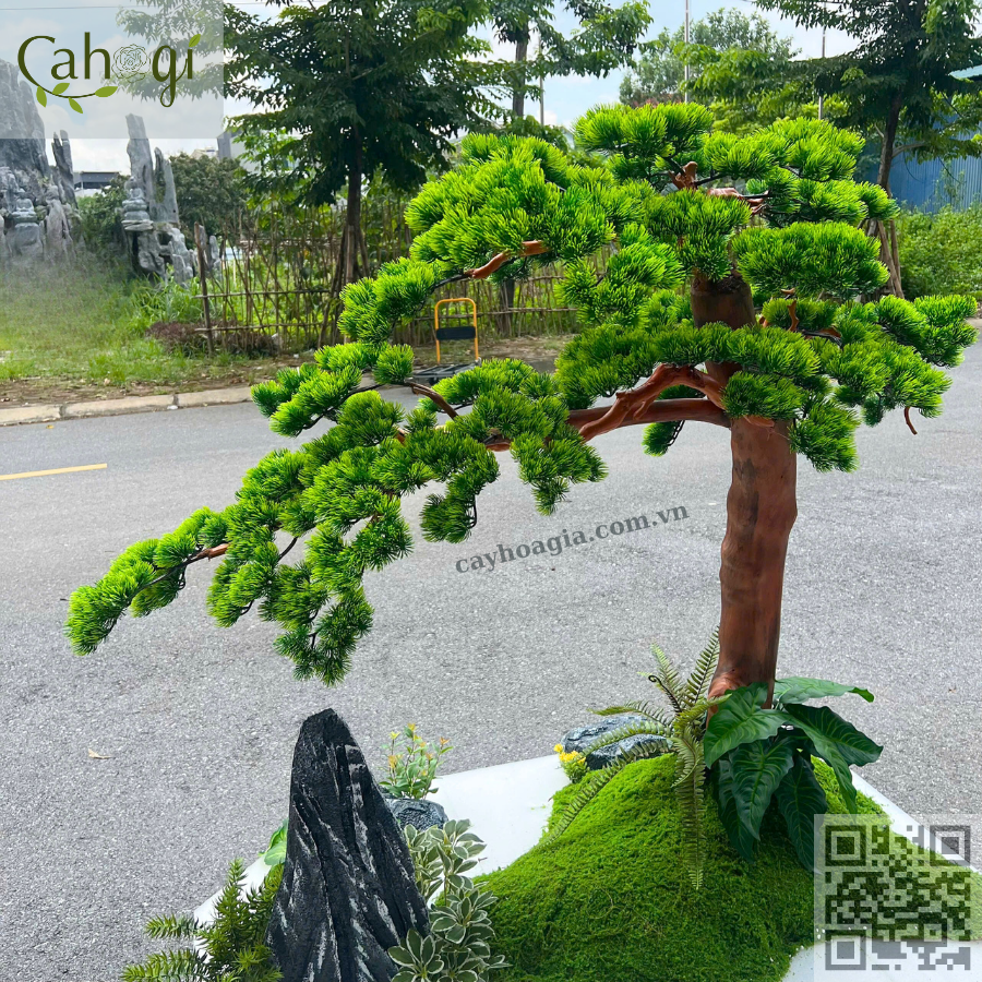 cây tùng giả bonsai