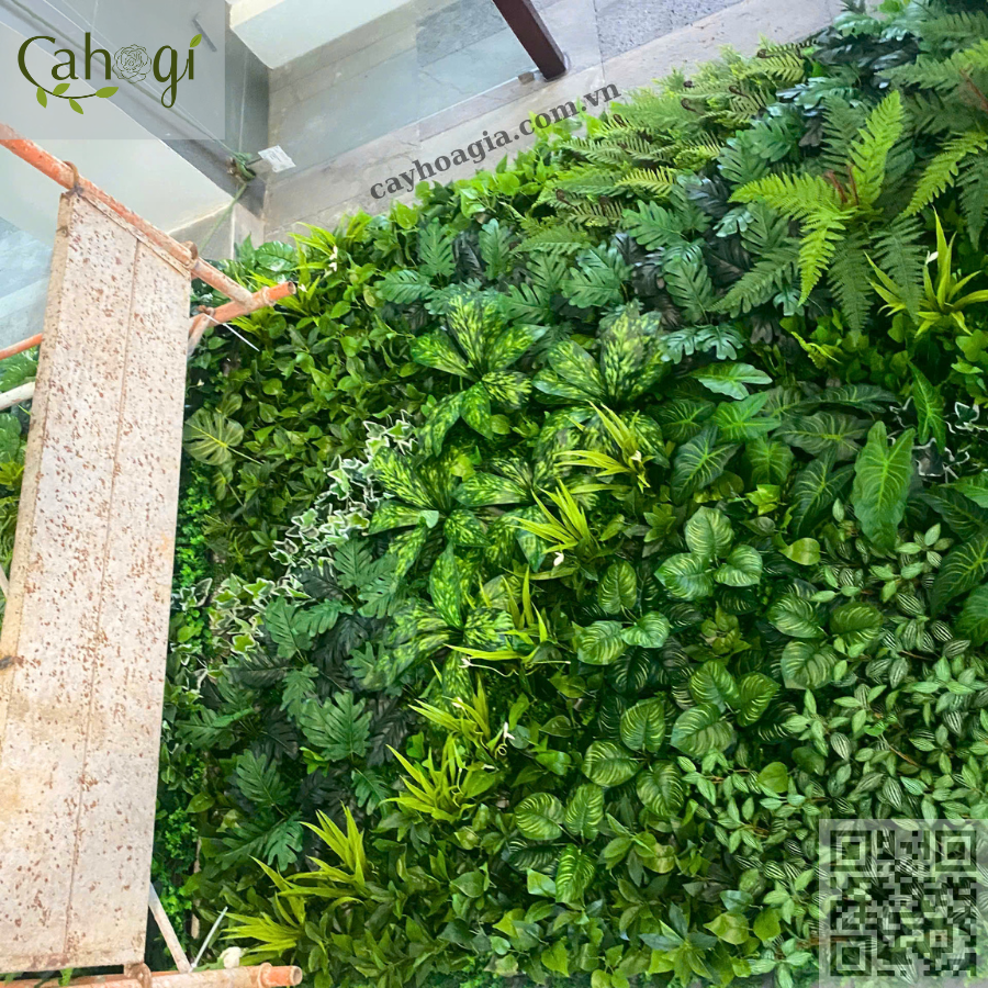 Thi công tường cây giả phòng khám nha khoa Hưng Yên