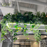 Trang Trí Đèn Treo Văn Phòng Với Cây Giả 69B Thụy Khuê - Tây Hồ