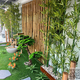 Thi Công Tiểu Cảnh Tại Nhà Máy Matsuo