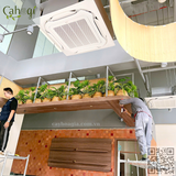 Thi Công Trang Trí Giỏ Cây Giả Cho Quán Cafe