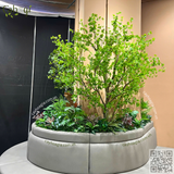 Thi Công Cây Thạch Nam Giả Siêu Thật Tại AEON Hưng Yên – Giải Pháp Xanh Hiện Đại