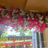 Thi Công Hộc Cây Hoa Giấy Trang Trí Quán Cafe The Coffee House – Hoàn Kiếm, Hà Nội