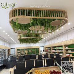 Thi Công Cây Thạch Nam Giả Penthouse Khu Đô Thị ECOPARK