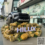 Thi Công Tiểu Cảnh Đá Xốp Giả Trưng Bày Xe Hilux TOYOTA LONG BIÊN