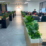 Thi Công 19 Hộc Cây Giả Cho Văn Phòng BĐS MAYHOMES – 90 Nguyễn Tuân, Thanh Xuân, Hà Nội